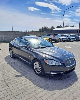 Jaguar XF cena 7800 przebieg: 150437, rok produkcji 2010 z Lesko małe 154